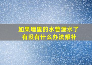 如果墙里的水管漏水了 有没有什么办法修补